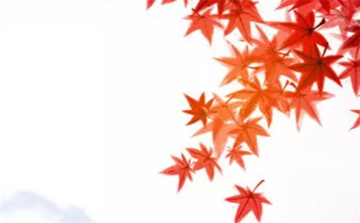 2025年农历二月初六动土好吗 宜动土修造吉日查询