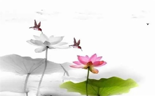 2025年10月04日动土日子如何 是建筑房屋好日子吗