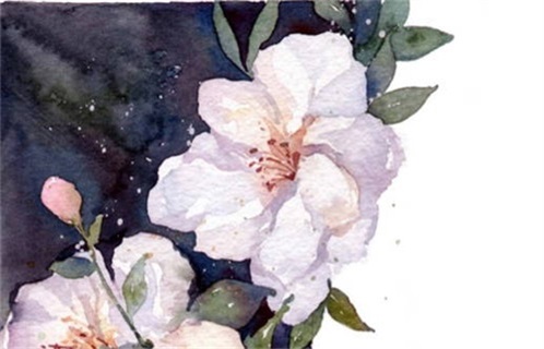 2025年02月24日动土黄道吉日 宜动土修造吉日查询