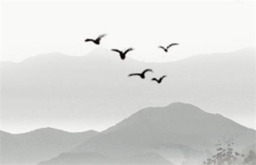 2024年11月23日动土黄道吉日 是动土修造好日子吗 2024年11月23日动土黄道吉日 是动土修造好日子吗