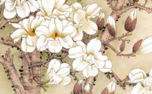 2025年农历九月十五动土好吗 今日建筑房屋好不好