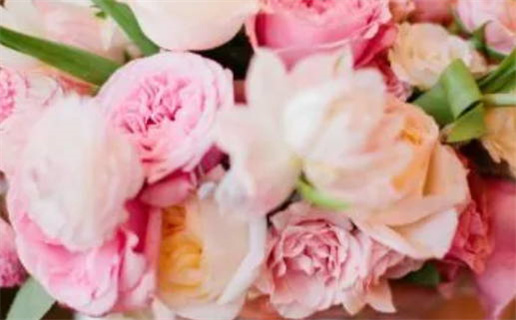 2025年农历九月十九结婚日子如何 宜办婚礼吉日查询 2025年农历九月十九结婚日子如何 宜办婚礼吉日查询