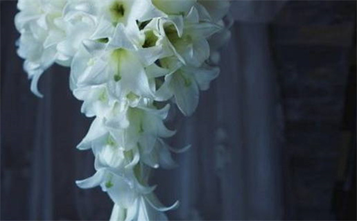 2024年农历冬月初八是结婚好日子吗 今日办喜事好吗