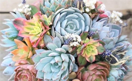 2025年05月23日结婚黄道吉日 办婚礼吉利吗 2025年05月23日结婚黄道吉日 办婚礼吉利吗