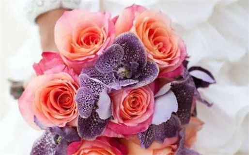 2025年农历八月廿四是不是结婚吉日 宜办喜事吉日查询 2025年农历八月廿四是不是结婚吉日 宜办喜事吉日查询