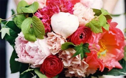 2025年11月05日结婚吉日查询 今日办喜事好不好 2025年11月05日结婚吉日查询 今日办喜事好不好