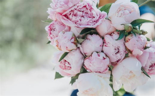 2026年农历冬月十七结婚好吗 办喜事吉利吗 2026年农历冬月十七结婚好吗 办喜事吉利吗