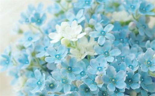 2025年农历五月初五结婚吉日查询 办喜事吉利吗 2025年农历五月初五结婚吉日查询 办喜事吉利吗