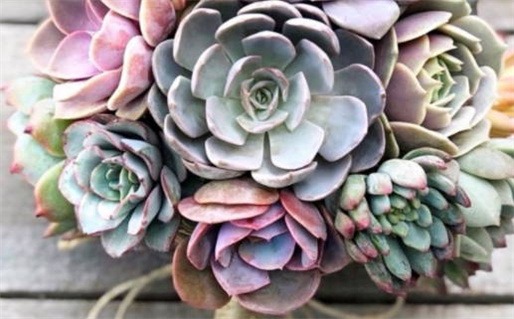 2025年农历六月初六结婚吉日查询 是办婚礼好日子吗