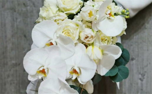 2024年农历冬月二十结婚好不好 适不适合办婚礼 2024年农历冬月二十结婚好不好 适不适合办婚礼