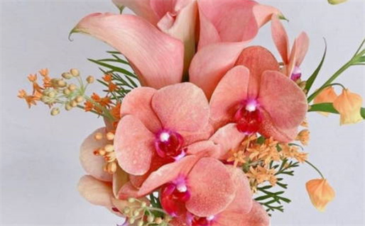 2025年12月24日结婚黄道吉日 宜办喜事吉日查询 2025年12月24日结婚黄道吉日 宜办喜事吉日查询