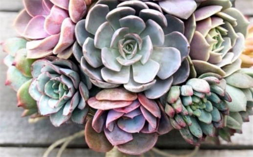 2025年农历四月廿四结婚好吗 今日办喜事好不好