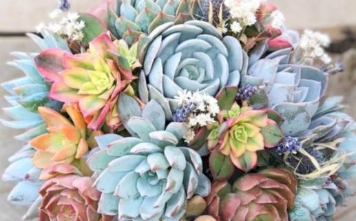 2025年08月29日是不是结婚吉日 今日办婚礼好不好 2025年08月29日是不是结婚吉日 今日办婚礼好不好