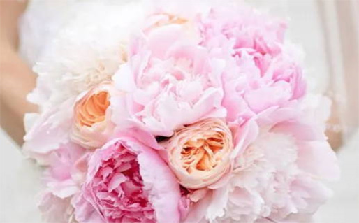 2026年农历腊月廿六是结婚好日子吗 是办婚礼好日子吗