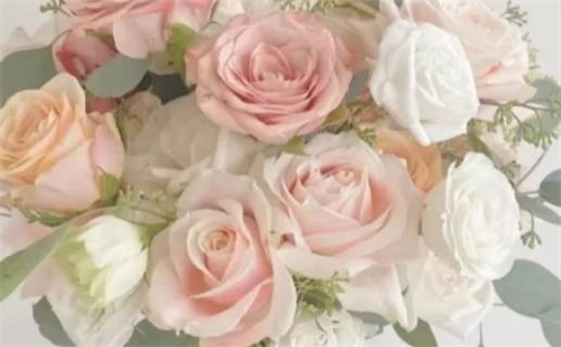 2025年09月08日是领证好日子吗 今日领证结婚好不好