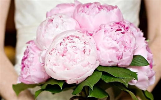 2026年01月30日是不是领证吉日 今日领证结婚好吗