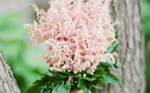 2025年12月04日是不是领证吉日 领证吉利吗 2025年12月04日是不是领证吉日 领证吉利吗