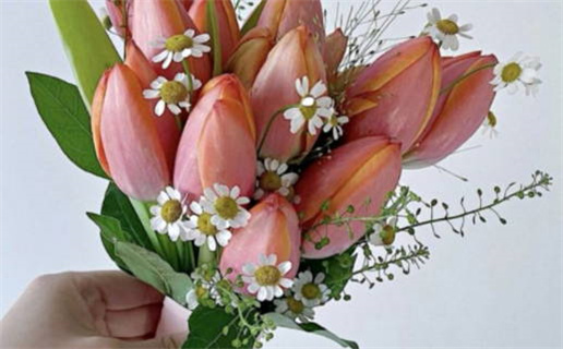 2024年09月22日领证吉日查询 今日登记结婚好吗 2024年09月22日领证吉日查询 今日登记结婚好吗