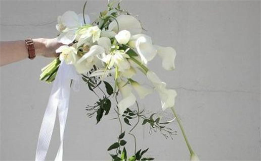 2025年农历九月二十领证日子如何 是登记领证好日子吗