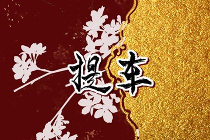 2025年10月13日提车好不好 今日买新车好不好 2025年10月13日提车好不好 今日买新车好不好