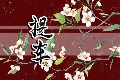 2026年农历腊月十七提车好吗 今日提新车好不好