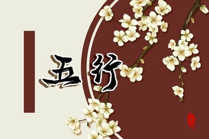 2024年后属火的行业 属火的行业推荐 2024年后属火的行业 属火的行业推荐