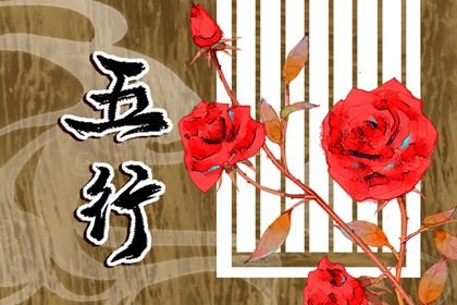 92年五行缺什么忌什么 1992属猴人注意事项 92年五行缺什么忌什么 1992属猴人注意事项