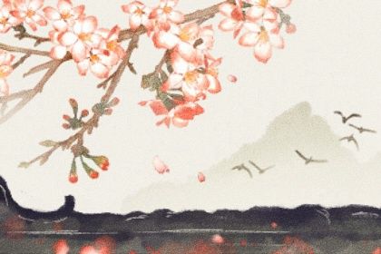 2023年流年密码详解 八字和运势的关系分析 2023年流年密码详解 八字和运势的关系分析