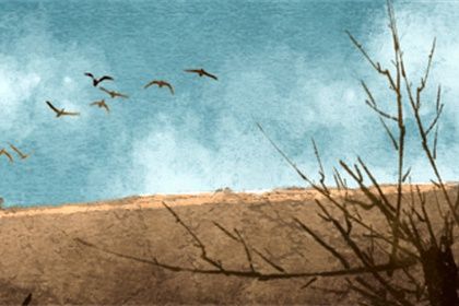 前世是天上下来的特征 前世来自天道的人聪慧过人 前世是天上下来的特征 前世来自天道的人聪慧过人