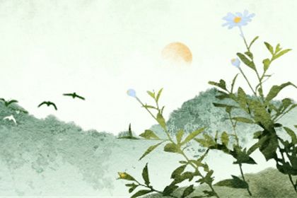 算命几两几钱命查询表2022 分析2022年命重查询表 算命几两几钱命查询表2022 分析2022年命重查询表