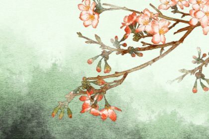 佛讲爱哭人的前世因果 佛家人与人的关系分析 佛讲爱哭人的前世因果 佛家人与人的关系分析