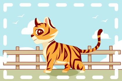 1986年虎今年怀男孩女孩 男孩和女孩都是有可能的 1986年虎今年怀男孩女孩 男孩和女孩都是有可能的