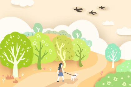 六道轮回转世免费查询 解析六道轮回与因果 六道轮回转世免费查询 解析六道轮回与因果