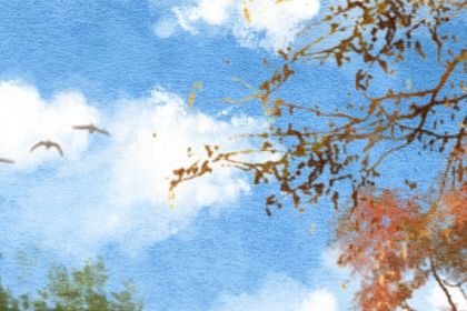 女命四两一钱是富贵命 婚姻幸福且事业飞黄腾达 女命四两一钱是富贵命 婚姻幸福且事业飞黄腾达