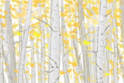 梅花易数可以给自己算吗 梅花易数占卜注意事项分析 梅花易数可以给自己算吗 梅花易数占卜注意事项分析