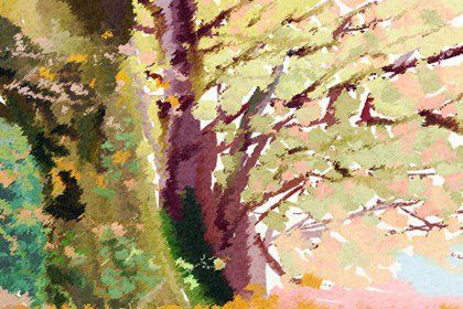 梅花易数如何确定方向 什么是梅花易数方位占卜 梅花易数如何确定方向 什么是梅花易数方位占卜