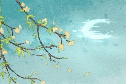 梅花易数64卦详细解卦 梅花卦是什么 梅花易数64卦详细解卦 梅花卦是什么