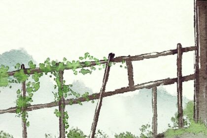 梅花易数如何解卦 什么是梅花易数 梅花易数如何解卦 什么是梅花易数