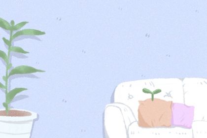 梅花易数梅花占 如何提高梅花占断技术 梅花易数梅花占 如何提高梅花占断技术