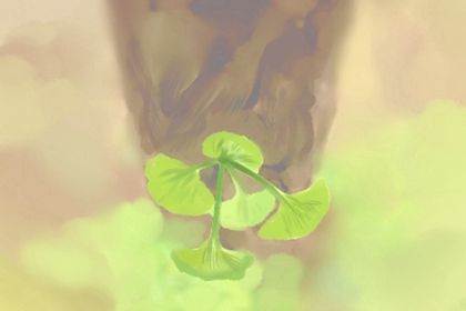 梅花易数怎么起卦 时间和报数字起卦方法 梅花易数怎么起卦 时间和报数字起卦方法