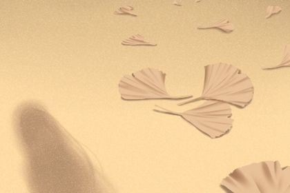 梅花易数怎么解卦 梅花易数如何读卦 梅花易数怎么解卦 梅花易数如何读卦