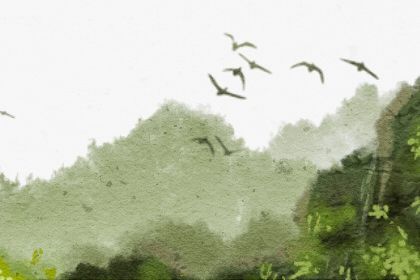 戊辰日柱最好的贵人 戊辰日柱需要注意什么 戊辰日柱最好的贵人 戊辰日柱需要注意什么