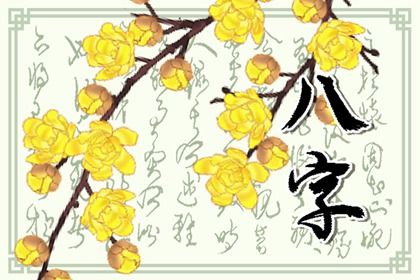 四柱八字排盘详解析人的生死 四柱八字排盘的概念分析 四柱八字排盘详解析人的生死 四柱八字排盘的概念分析