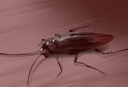 免费四柱八字排盘详解 桃花旺的八字有哪些 免费四柱八字排盘详解 桃花旺的八字有哪些