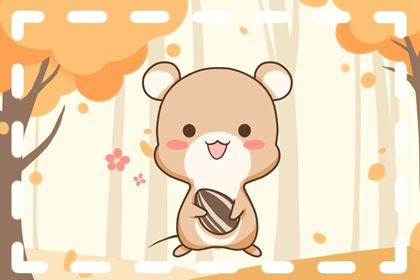 属鼠找什么属相结婚好 属鼠婚配什么属相最好 属鼠找什么属相结婚好 属鼠婚配什么属相最好