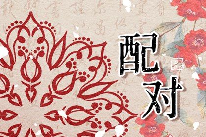 姓名配对测试两人关系 解析姓名配对是什么 姓名配对测试两人关系 解析姓名配对是什么