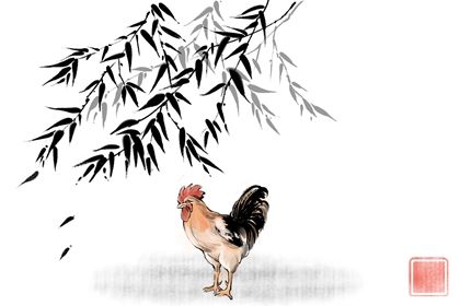 鸡的婚姻最佳配偶是什么属相 属鸡上等婚姻是 鸡的婚姻最佳配偶是什么属相 属鸡上等婚姻是