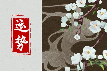 属马人2024年全年运势 看看属马人的运势情况 属马人2024年全年运势 看看属马人的运势情况