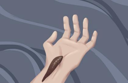 壬水命与什么命结合最好 与什么命最配 壬水命与什么命结合最好 与什么命最配