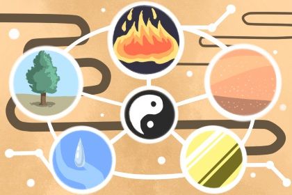 女性不可以有的数字能量号码 电话号码预测 女性不可以有的数字能量号码 电话号码预测